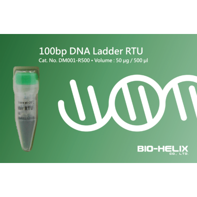 100bp DNA Ladder