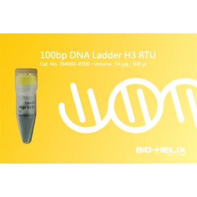 100bp DNA Ladder H3 RTU