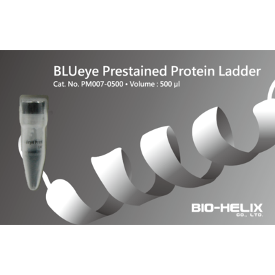 BLUeye Prestained Protein Ladder (11 to 245 kDa)