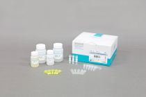 AccuPrep® Viral RNA Extraction Kit