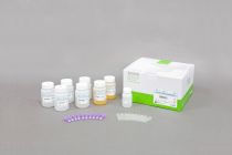 AccuPrep® PCR/Gel DNA Purification Kit