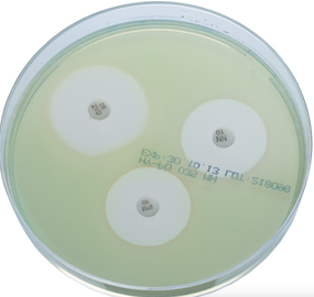 Susceptibility testing agar line