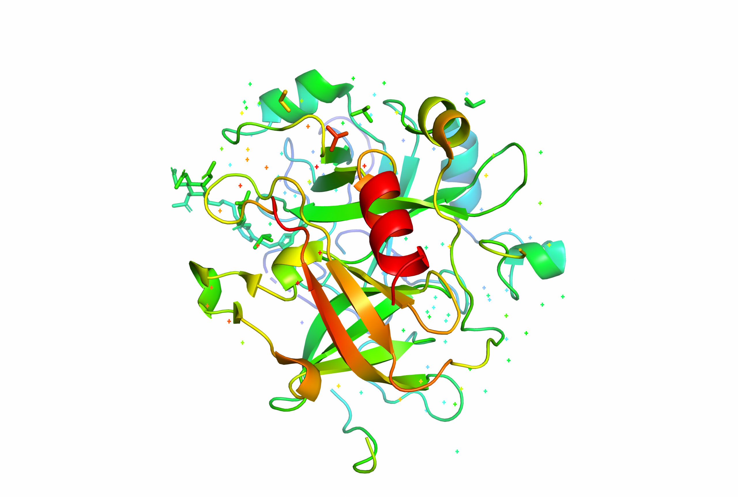 IRIS9 Prestained Protein Ladder（15 to 180 kDa）