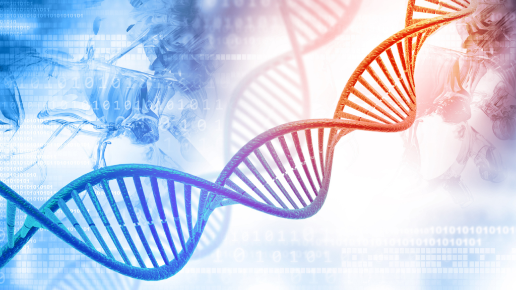 overlapping dna fragments meaning